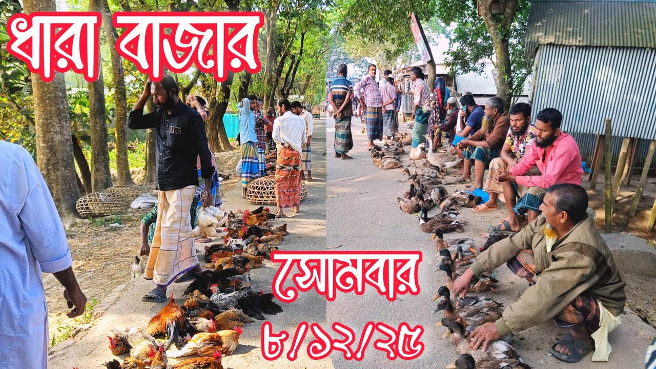 শীতে দেশি মুরগির দাম কমলো। রাজহাঁস দেশীয় হাঁস চিনা হাঁস এর বাজার দর 