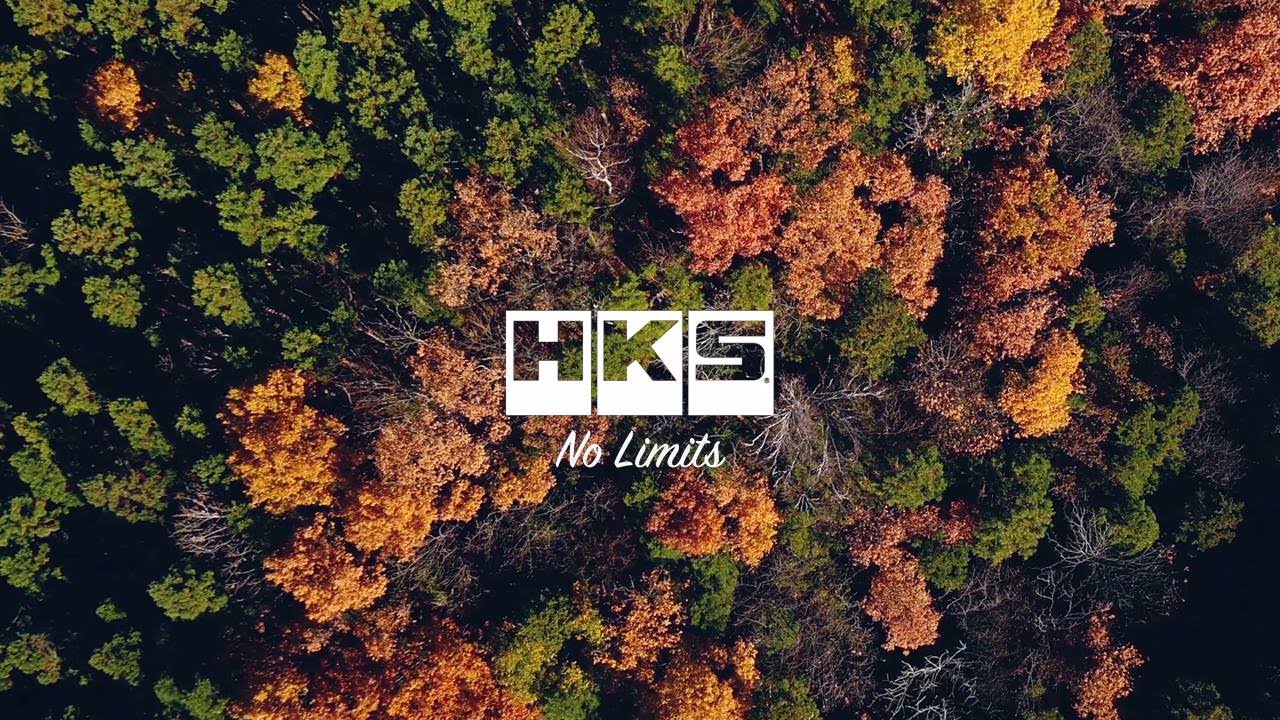 HKS × SUBARU WRX × Arai Toshi 　4K
