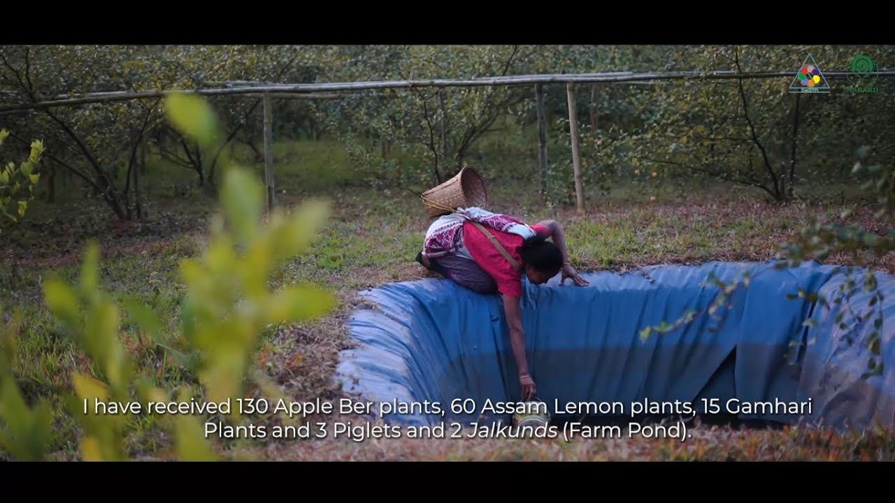 Roots of Change: Empowering Tribal Villages in Debitola, Assam- A NABARD-SeSTA Initiative Since 2022