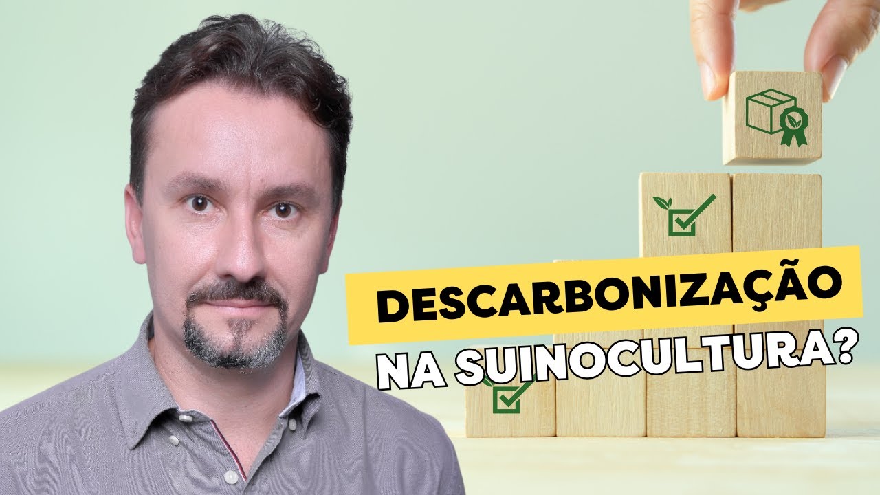 Vamiré Luiz Sens Júnior: Sustentabilidade e Gestão de Recursos na Prática