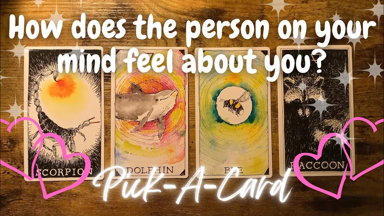 How does the person on your mind feel about you?💕✨Pick-A-Card✨Timeless tarot reading