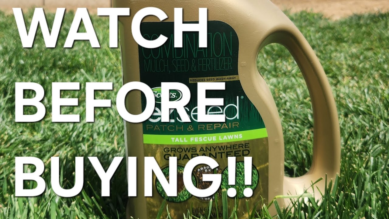 Scotts eZseed Review  - DIY Lawn Guy