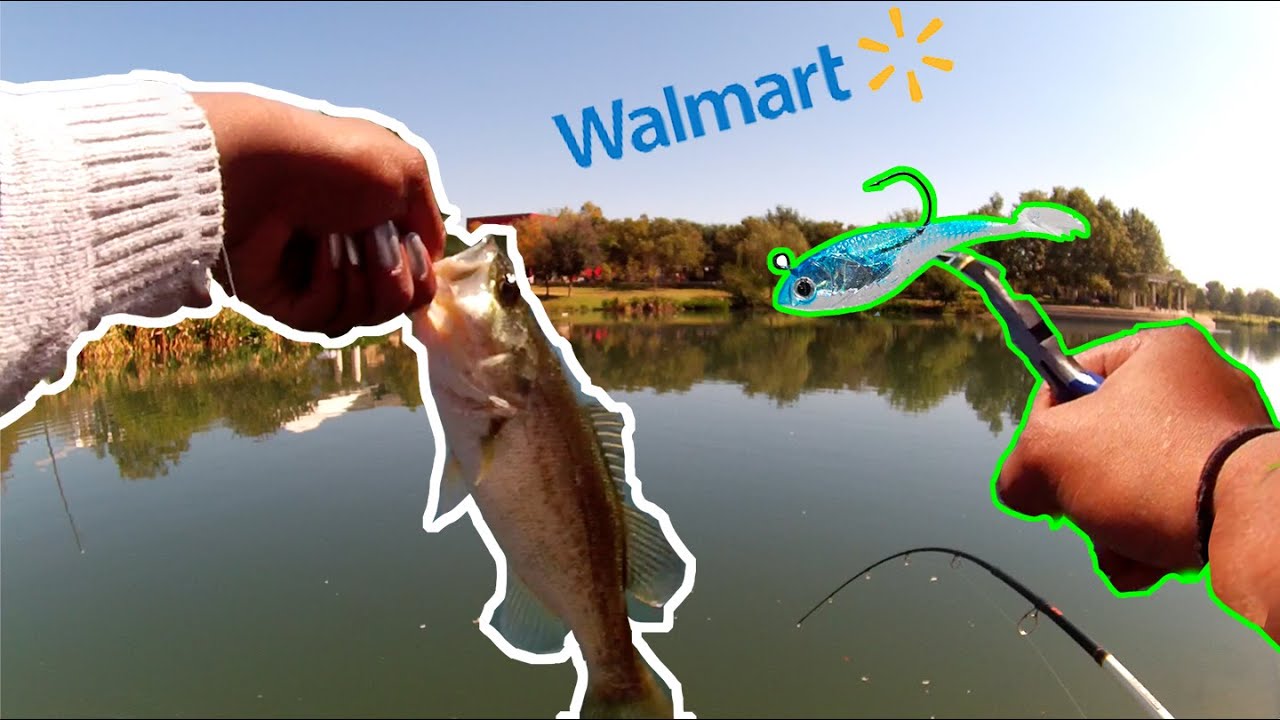 TINY swimbait 4 the WIN! - Mueller Lake Park