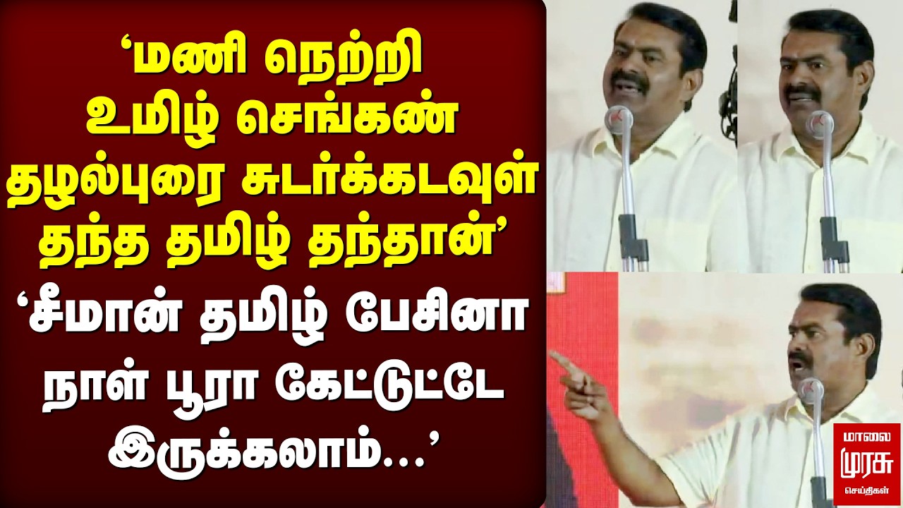 'சீமான் தமிழ் பேசினா கேட்டுட்டே இருக்கலாம்' | Seeman | NTK Election Manifesto