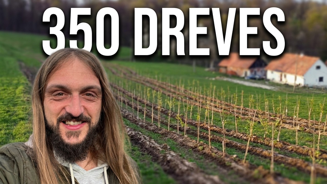Posadili smo 350 dreves v manj kot 4 urah! Brez heca
