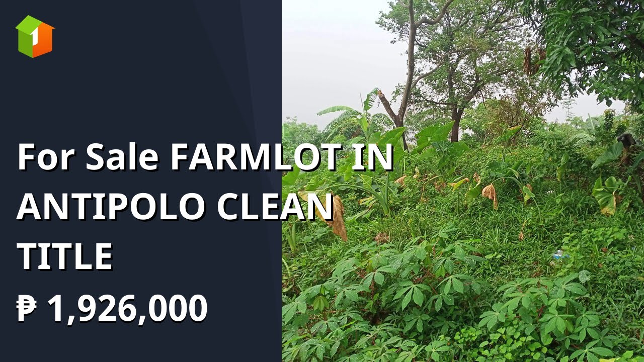 For Sale FARMLOT IN ANTIPOLO CLEAN TITLE