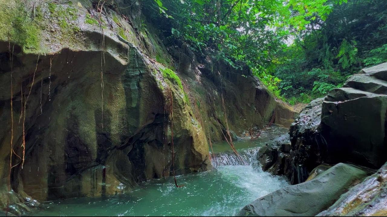Calming River Stream Ambience for Sleep | Gentle Water Flow Sounds for Inner Relaxation | 4K-HDR