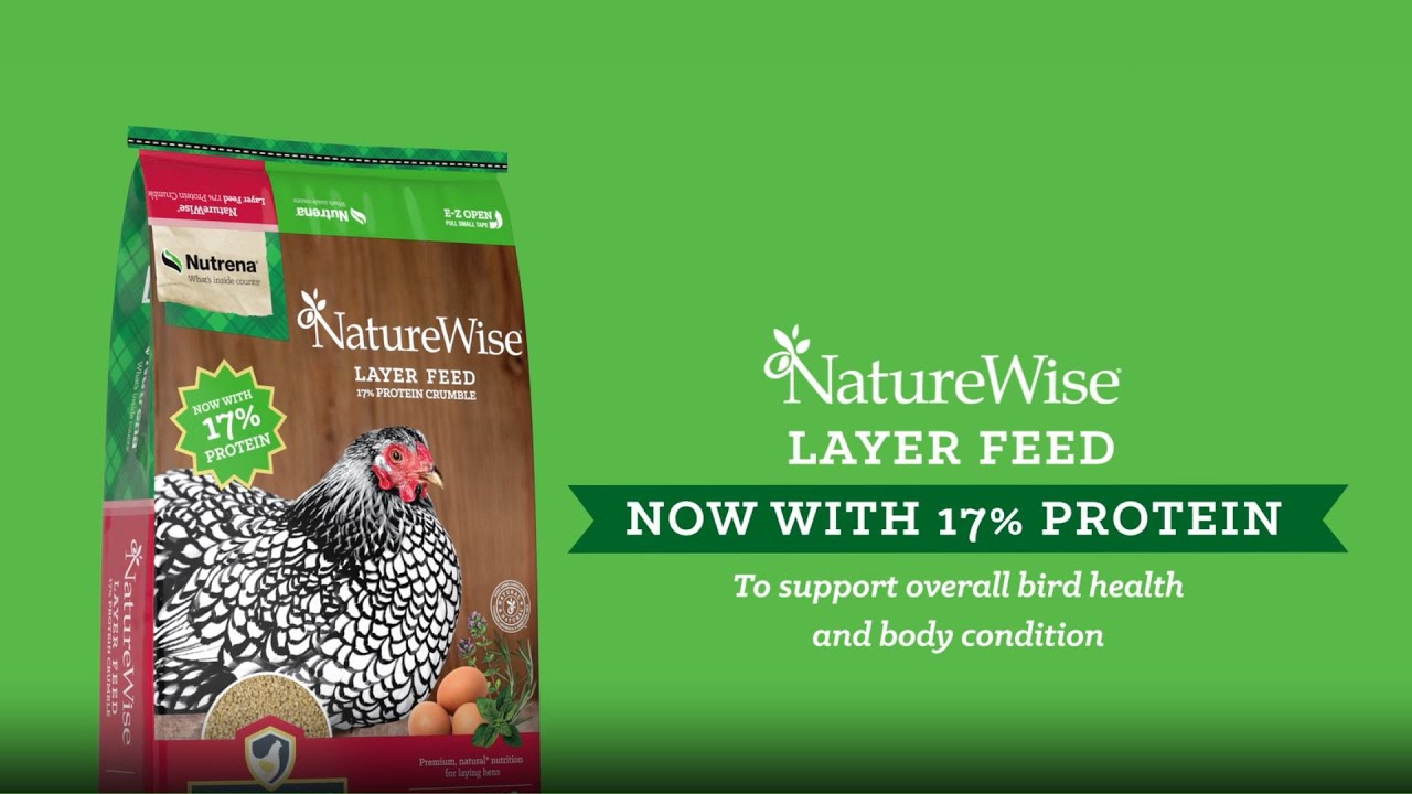 Nutrena NatureWise Layer 17% Crumble