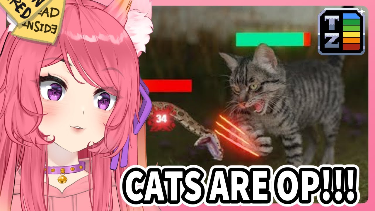 How Cats Broke The Game | Kitsu reacts to TierZoo
