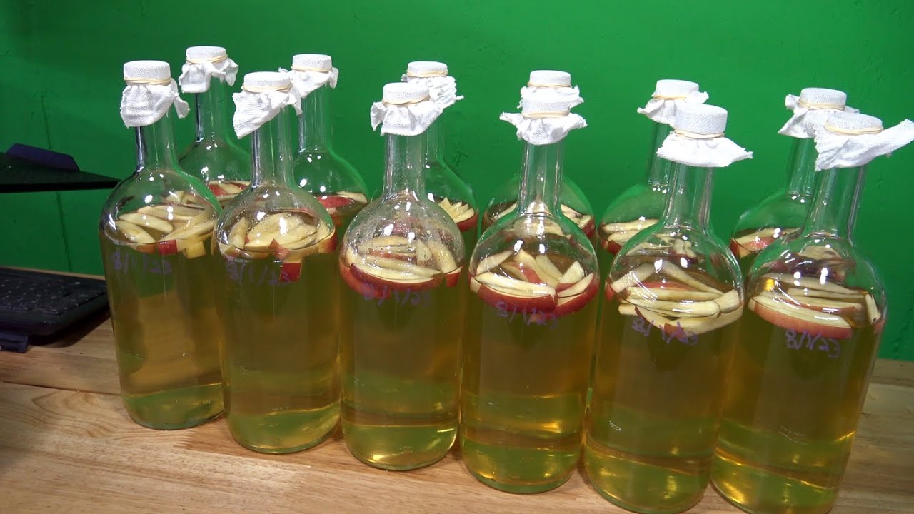 How to Culture MILLIONS of Vinegar Eels Like a Pro!