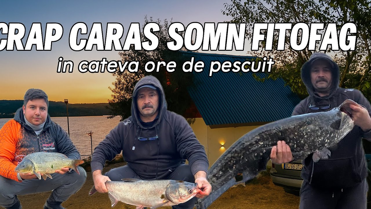🐟🏆CRAP, SOMN și FITOFAG – Nebunie la Cabana DOAR LA PESCUIT🥵😱