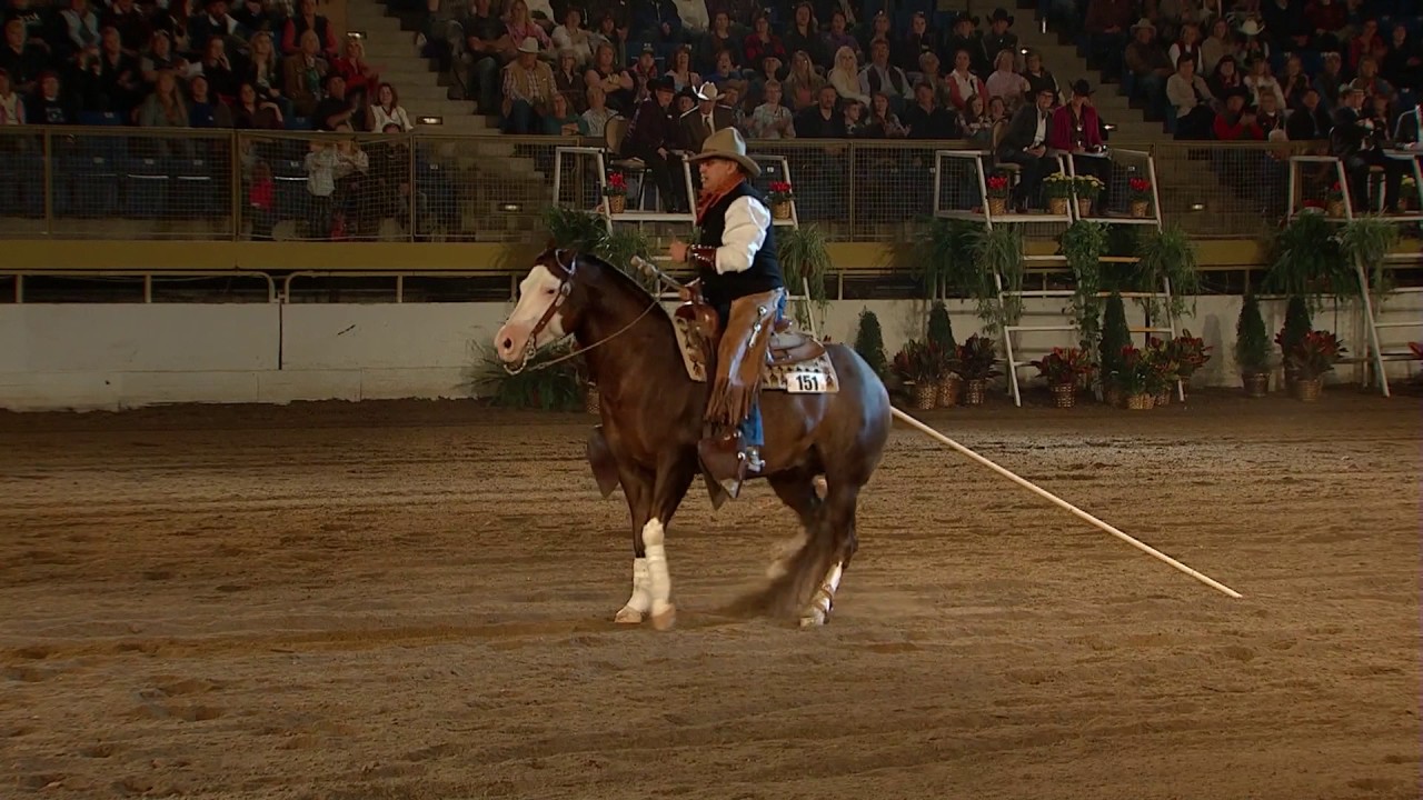Full Run Bub Poplin & Smokin Custom Crome 2016 NWSS Freestyle Champion