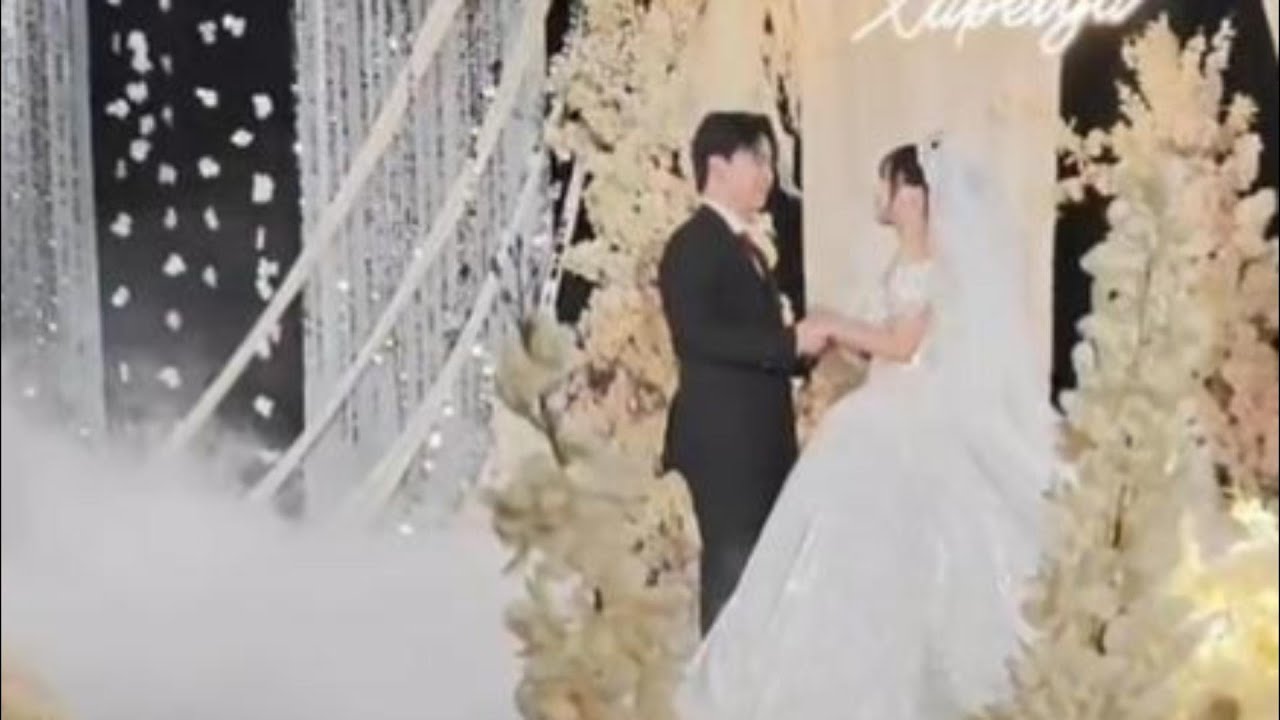 Wolves. Zai Marriage Stream  (Call of Duty Mobile Esports)