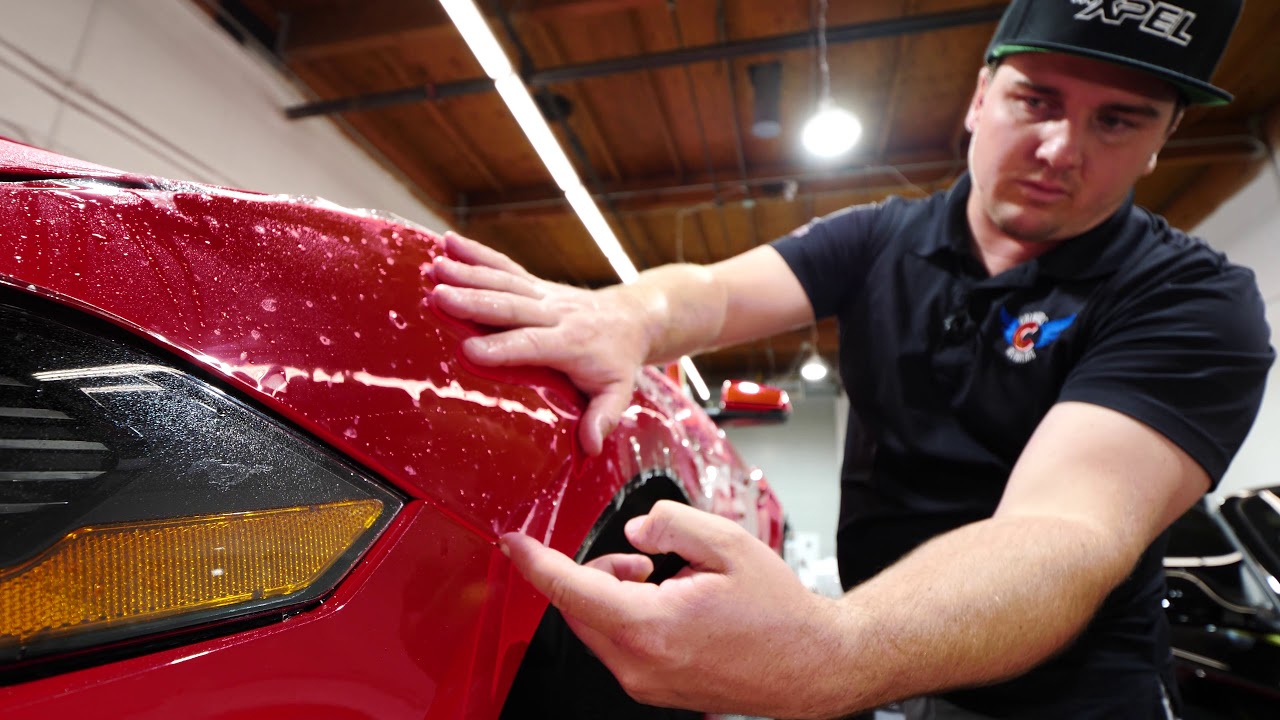 Mustang GT Step-by-Step Protection with Paint Correction - Paint Protection Film - Ceramic Coating