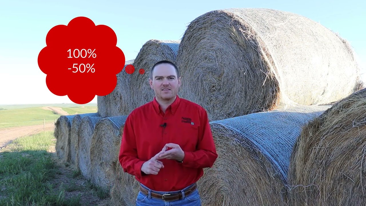 How Many Cows Can I Graze and How Long Can I Graze? How to Calculate Stocking Rate for Cattle