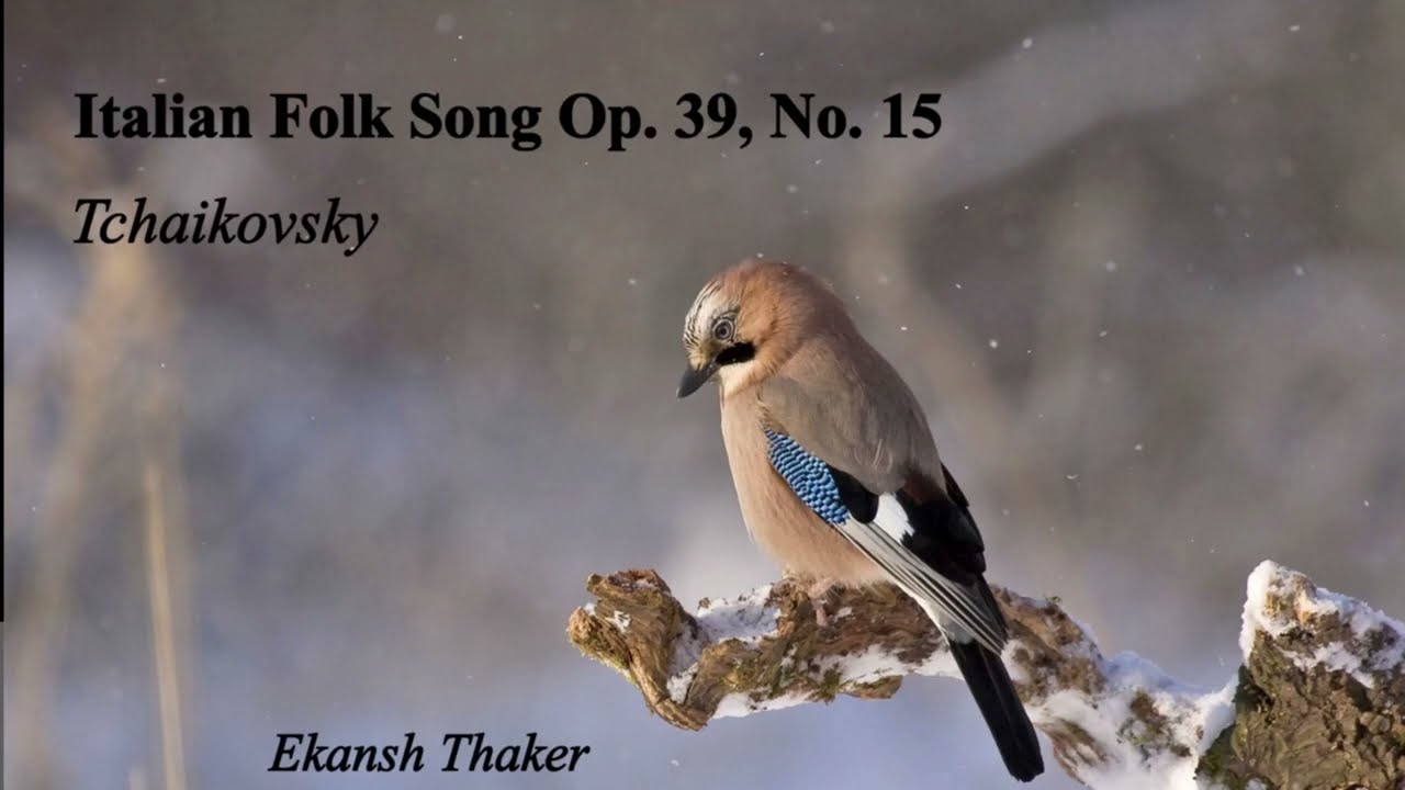 Italian Folk Song Op. 39, No.15 (Tchaikovsky) by Ekansh