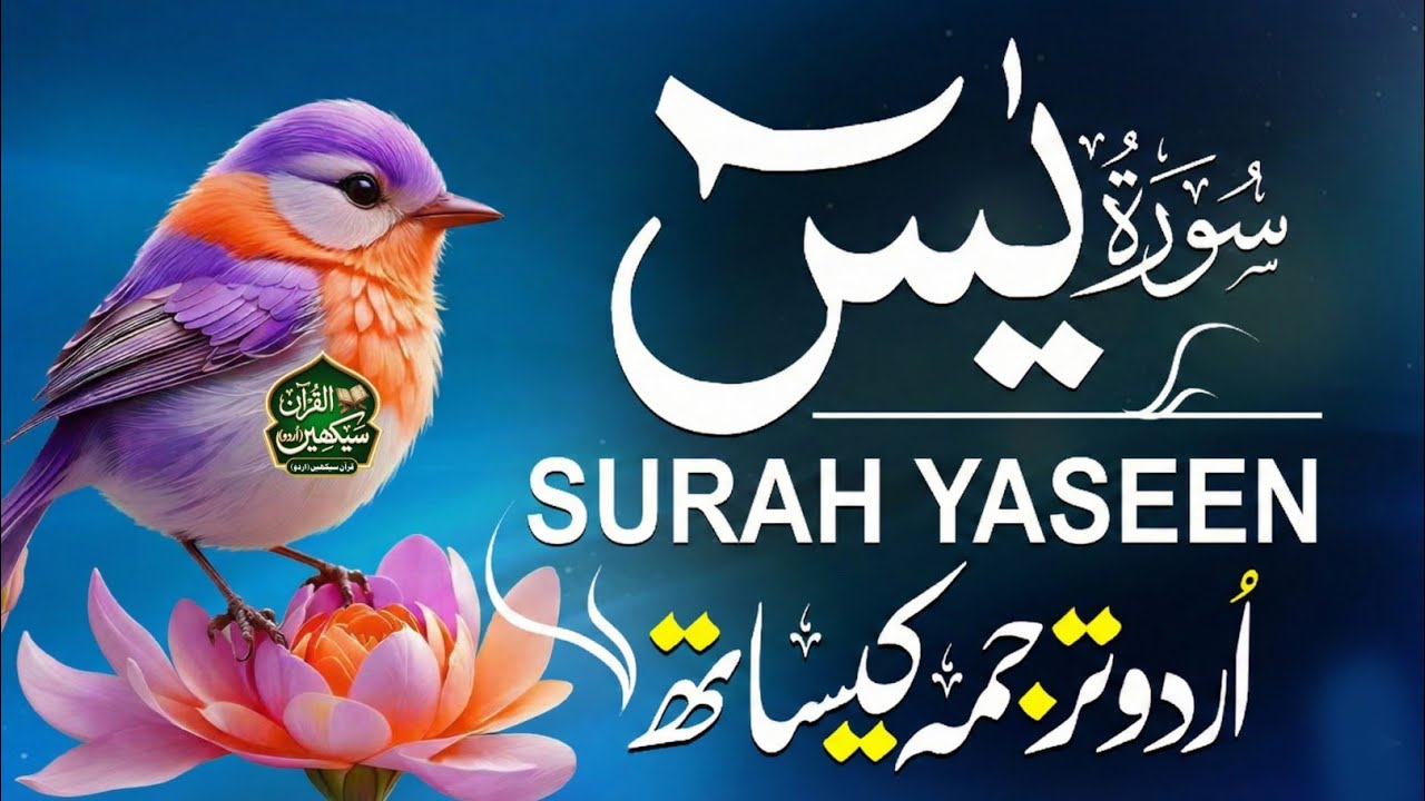 Surah Yasin With Urdu & Hindi Tarjama Full | Beautiful Quranic Recitation - Mansoor Ghaznavi