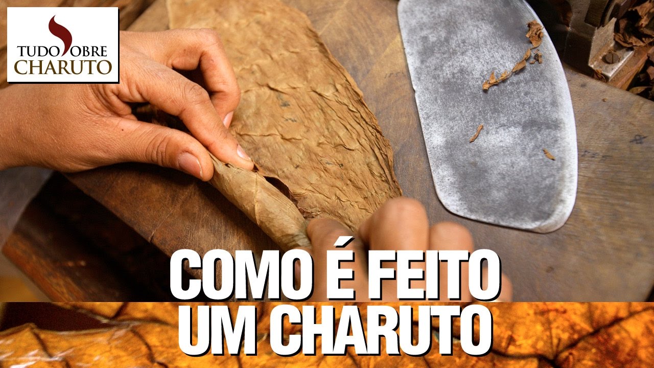 Como é feito um charuto - Tudo Sobre Charuto
