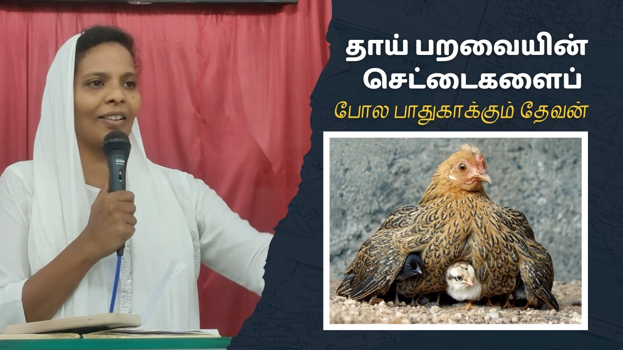 தாய் பறவையின் செட்டைகளைப் போல பாதுகாக்கும் தேவன் - 24 - Feb - 2026