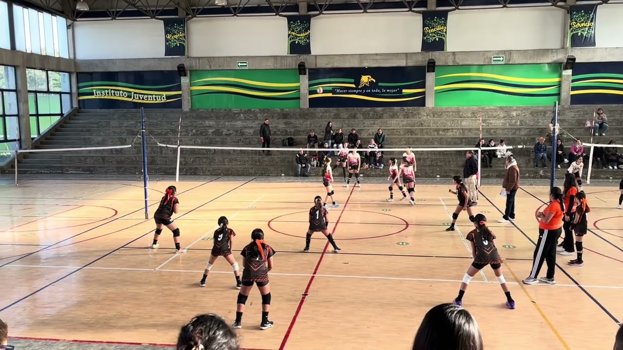 Leones (7 de febrero)