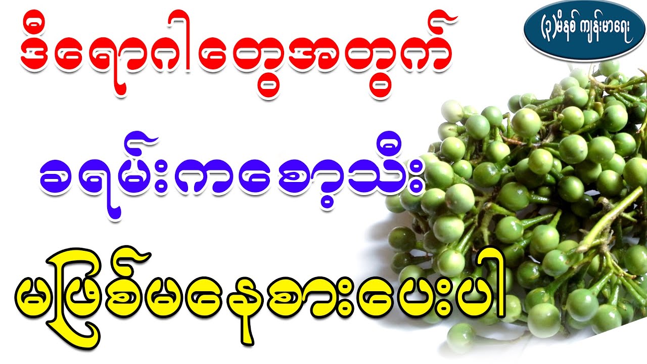 ဒီရောဂါတွေအတွက်အဆို ခရမ်းကစော့သီးကို မဖြစ်မနေစားပေးပါ၊ Health Benefit of West Indian nightshade