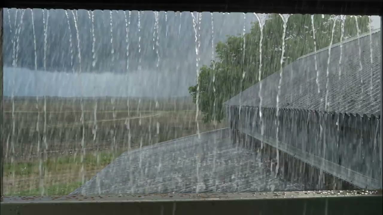 Steady Rain Sounds for 100% Relaxation | No Ads