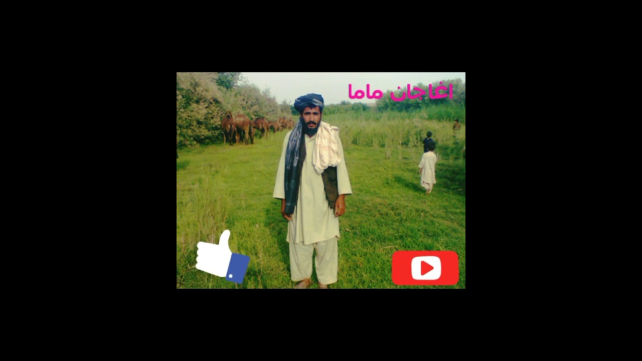زبزبانہ شاپیری نکل     آغا جان ماما نکلونہ
