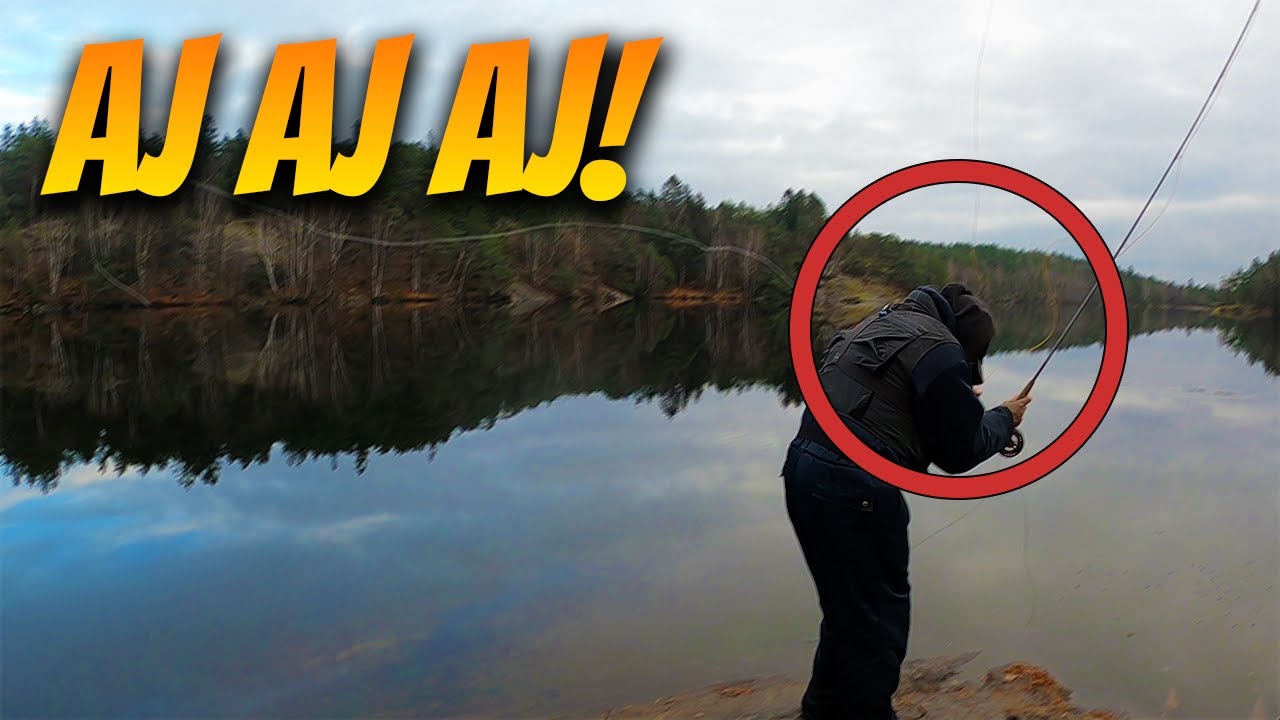 Linan Gav En Riktig Käftsmäll! | Fiskelycka
