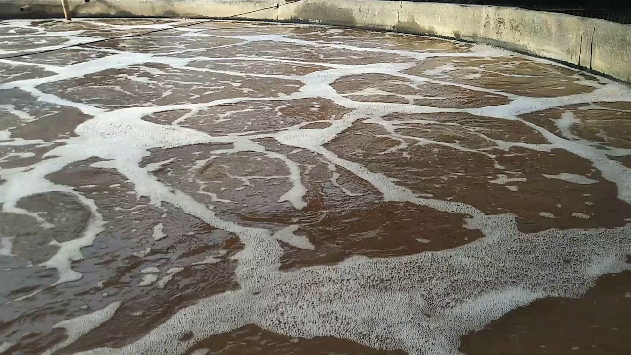 Um pouco mais sobre Bioflocos !