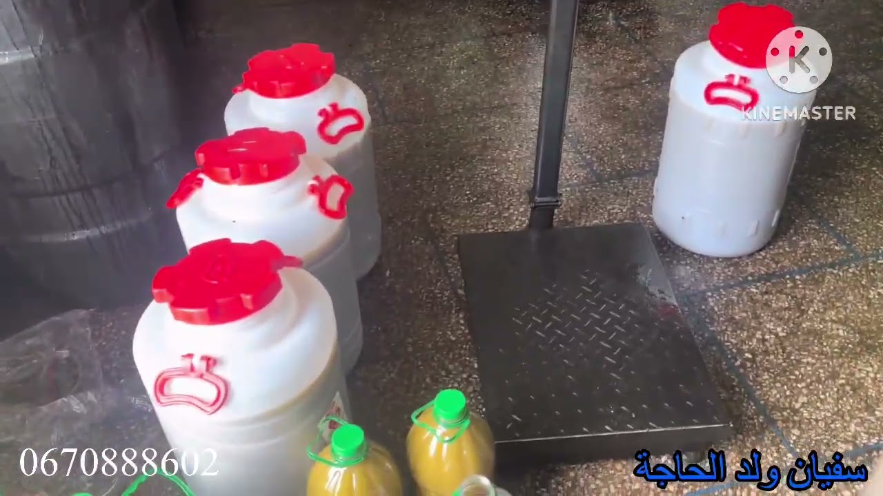 1400 كيلو زيتون 🌳 قلعة السراغنة زيت زيتون حوزية 2026/1/31