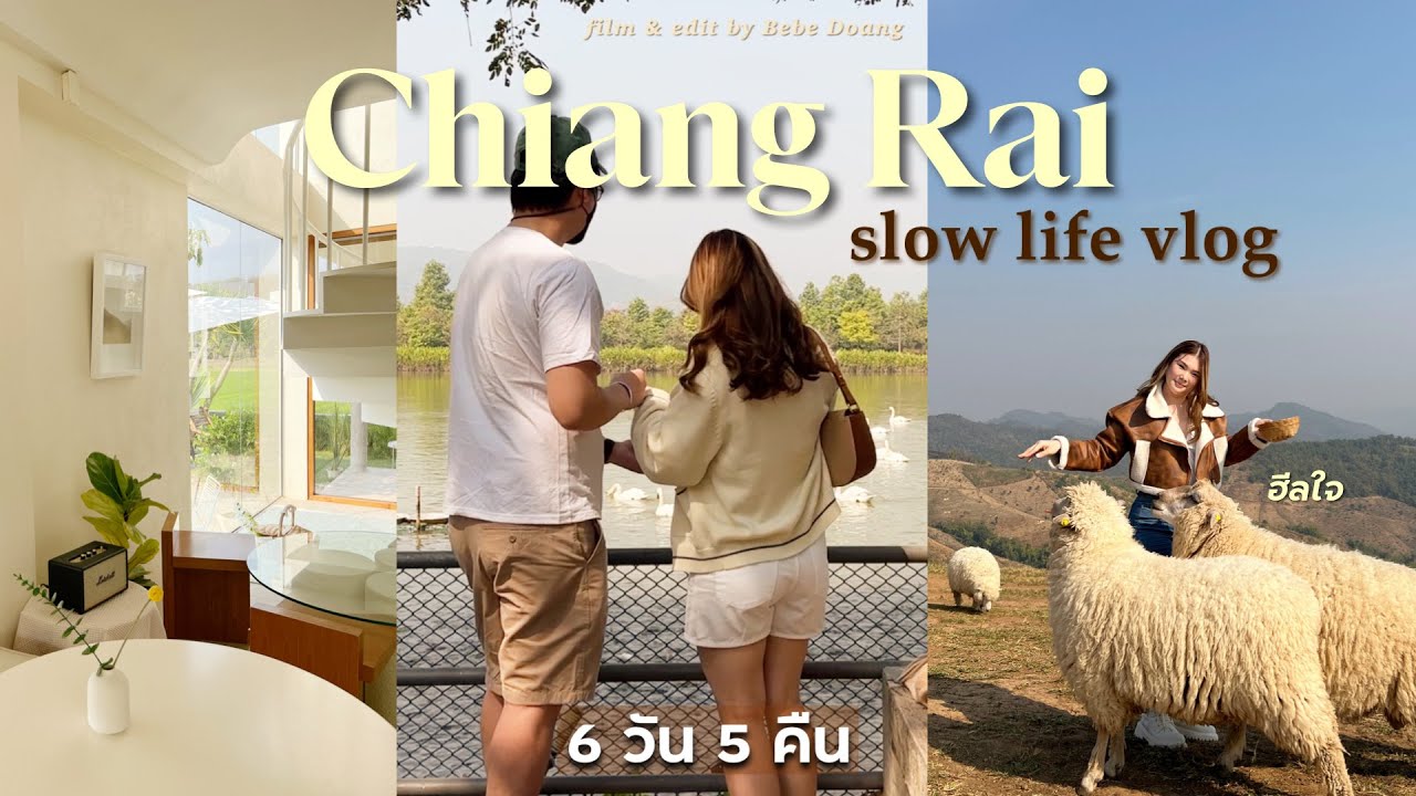 Vlog เชียงราย slow life โรมแรมดี คาเฟ่สายชิว ฟาร์มแกะ สิงห์ปาร์ค แม่ฟ้าหลวง ดอยแม่สลอง | BEBE DOANG
