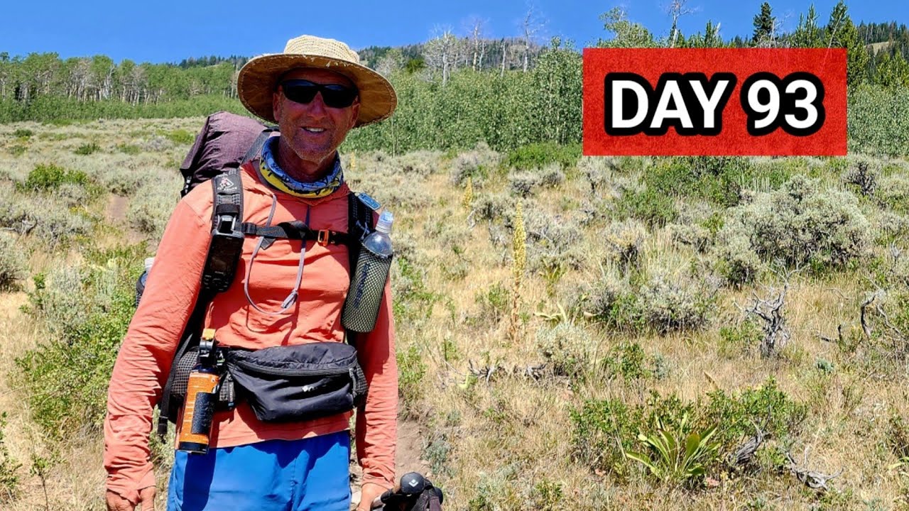 Day 93: Grizzly Territory  / CDT Thru-hike 2024