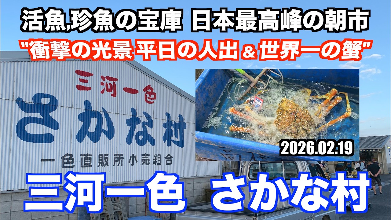 【三河一色さかな村 衝撃の光景 平日の人出＆世界一の蟹 活魚,珍魚の宝庫 日本最高峰の朝市】あばお 海鮮ちゃんねる #460 2026.02.19