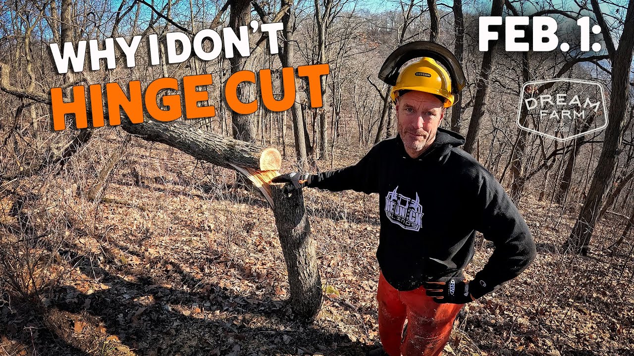 Feb. 1: Why I don't Hinge Cut Trees when doing TSI | Dream Farm w/ Bill Winke
