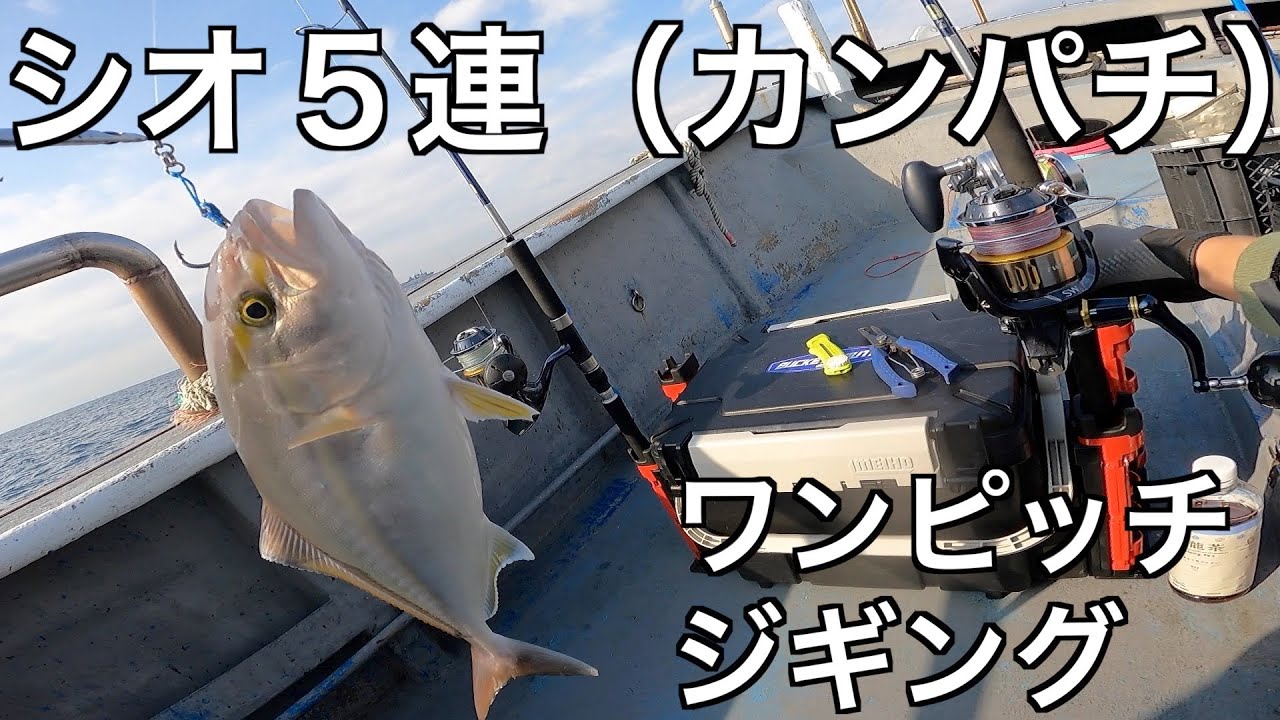 【シオジギング】シオ5連と一撃内締め。