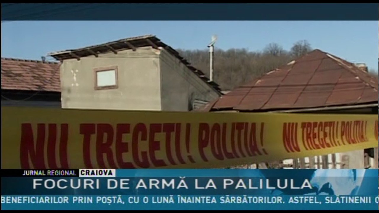 FOCURI DE ARMĂ LA PALILULA