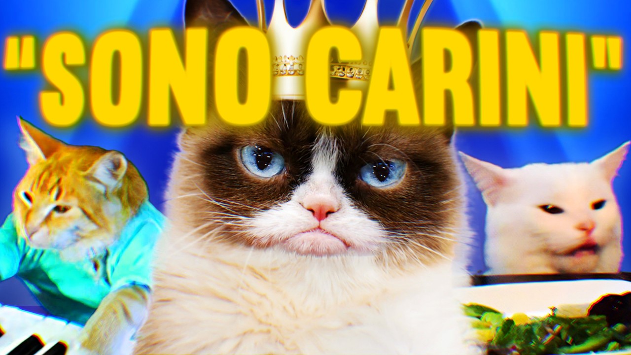 Perché Internet è OSSESSIONATO dai GATTI?
