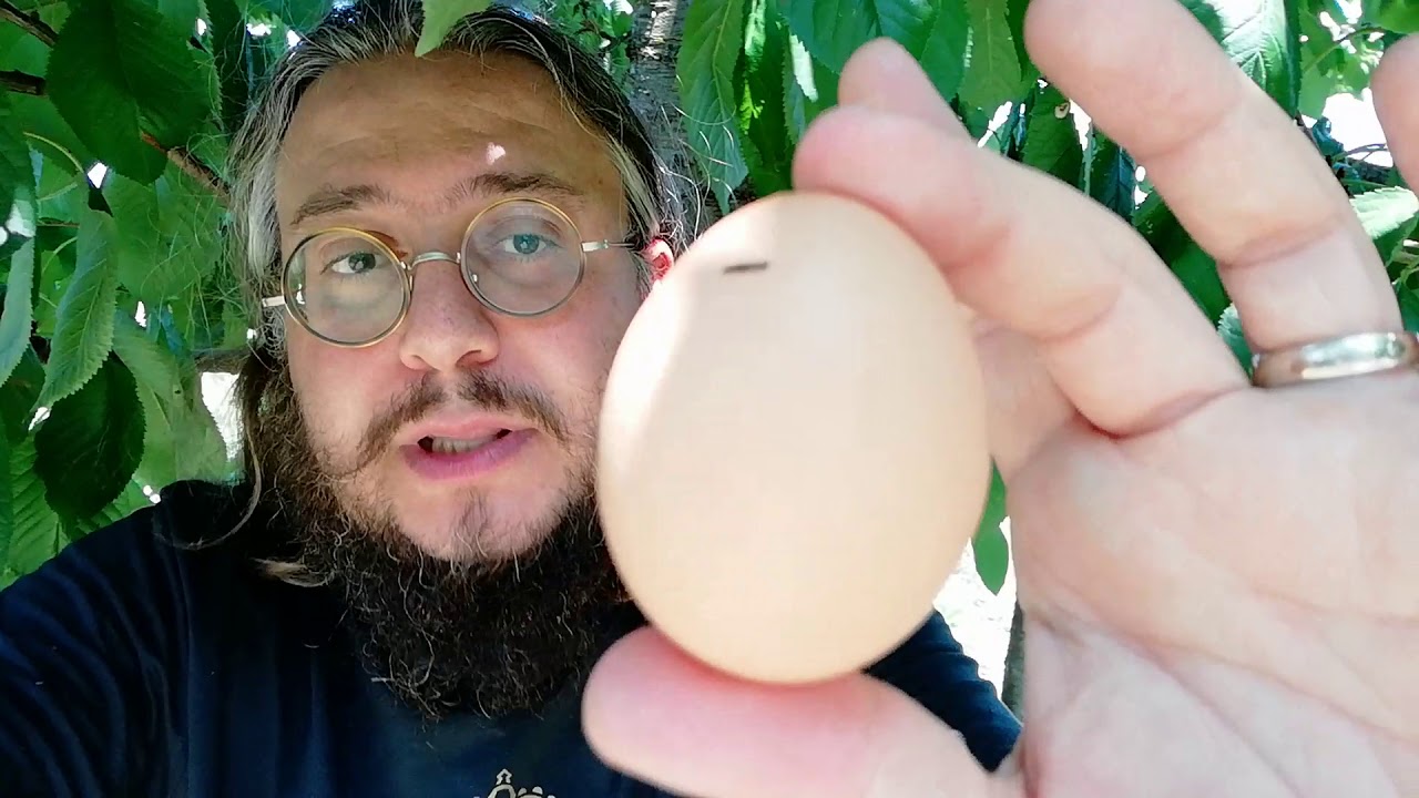 È nato prima l'uovo o la gallina?