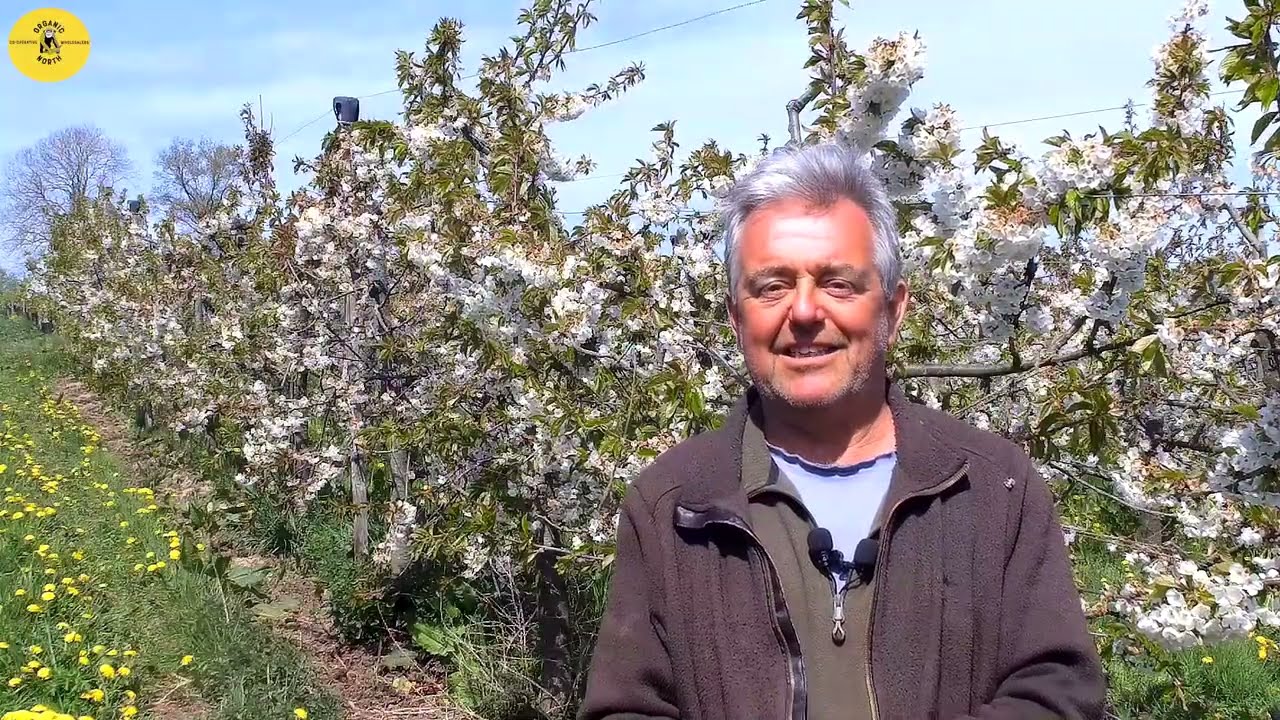 Organic North Meet Carey Organic