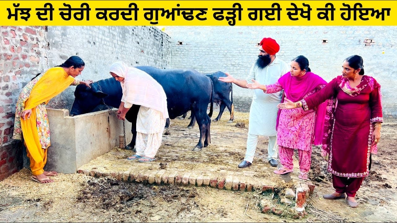 ਮੱਝ ਦੀ ਚੋਰੀ ਕਰਦੀ ਗੁਆਂਢਣ ਫੜ੍ਹੀ ਗਈ ਦੇਖੋ ਕੀ ਹੋਇਆ majh di chori punjabi short video #majh #chorni #chori