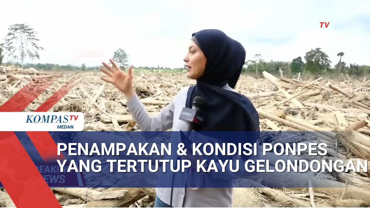 Kondis Ponpes Darul Mukhlisin di Aceh Tamiang yang Dipenuhi Kayu Gelondongan usai Banjir