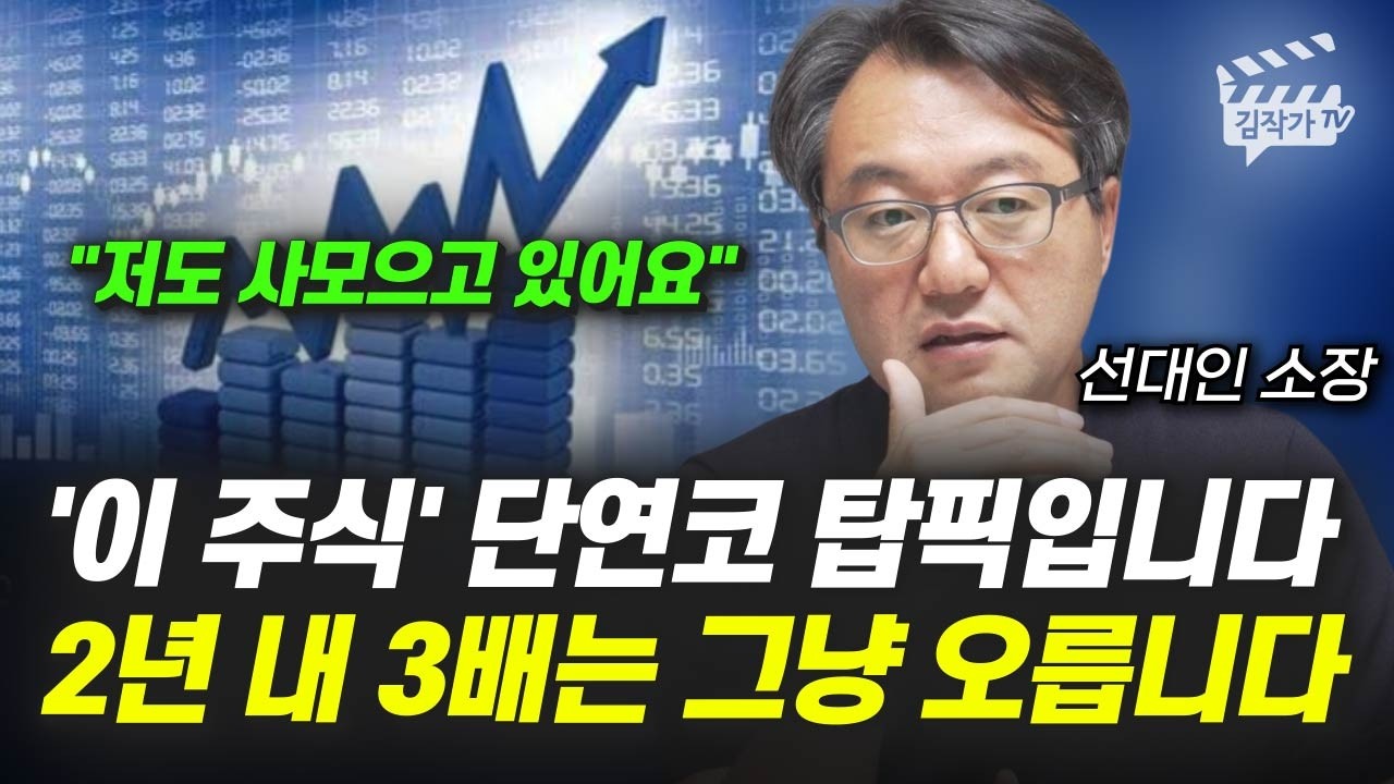 2차전지, 반도체 전부 다 가진 '이 주식', 2년 내 3배는 오릅니다 (선대인 소장)