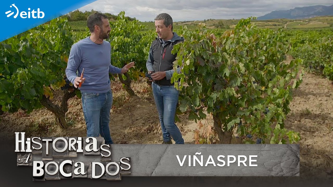 HISTORIAS A BOCADOS: Viñaspre