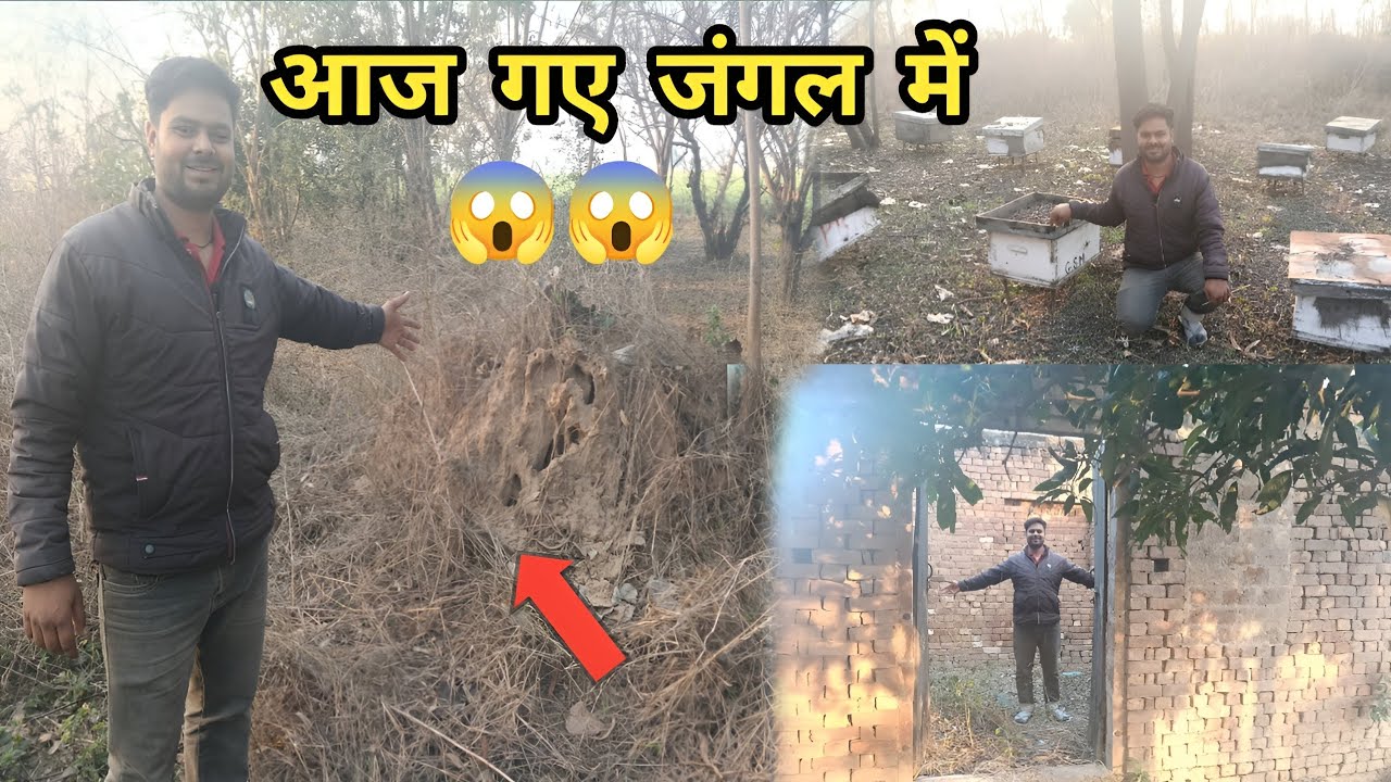 आज गए अपने गांव के जंगल में 😱 और घूमाते है अपना गांव। #vlog #village #ravinewvlogs 