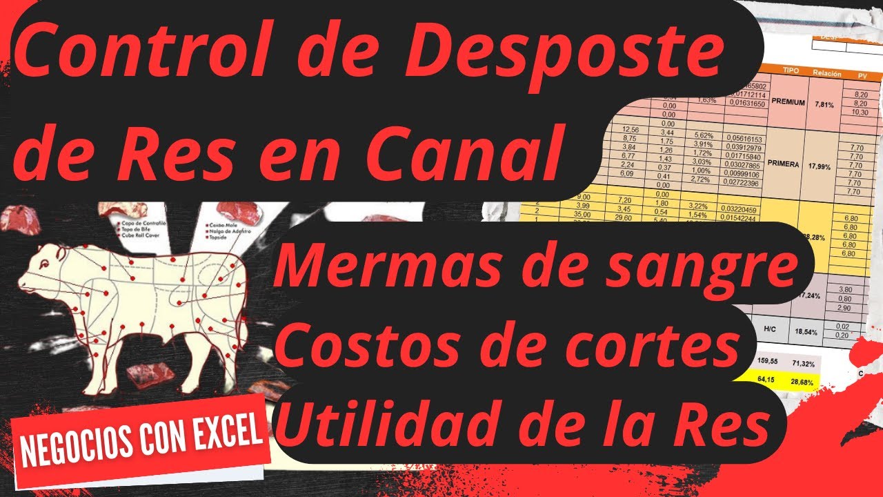 Como Controlar y Costear el Desposte de Res en Canal | Costeo Con Excel