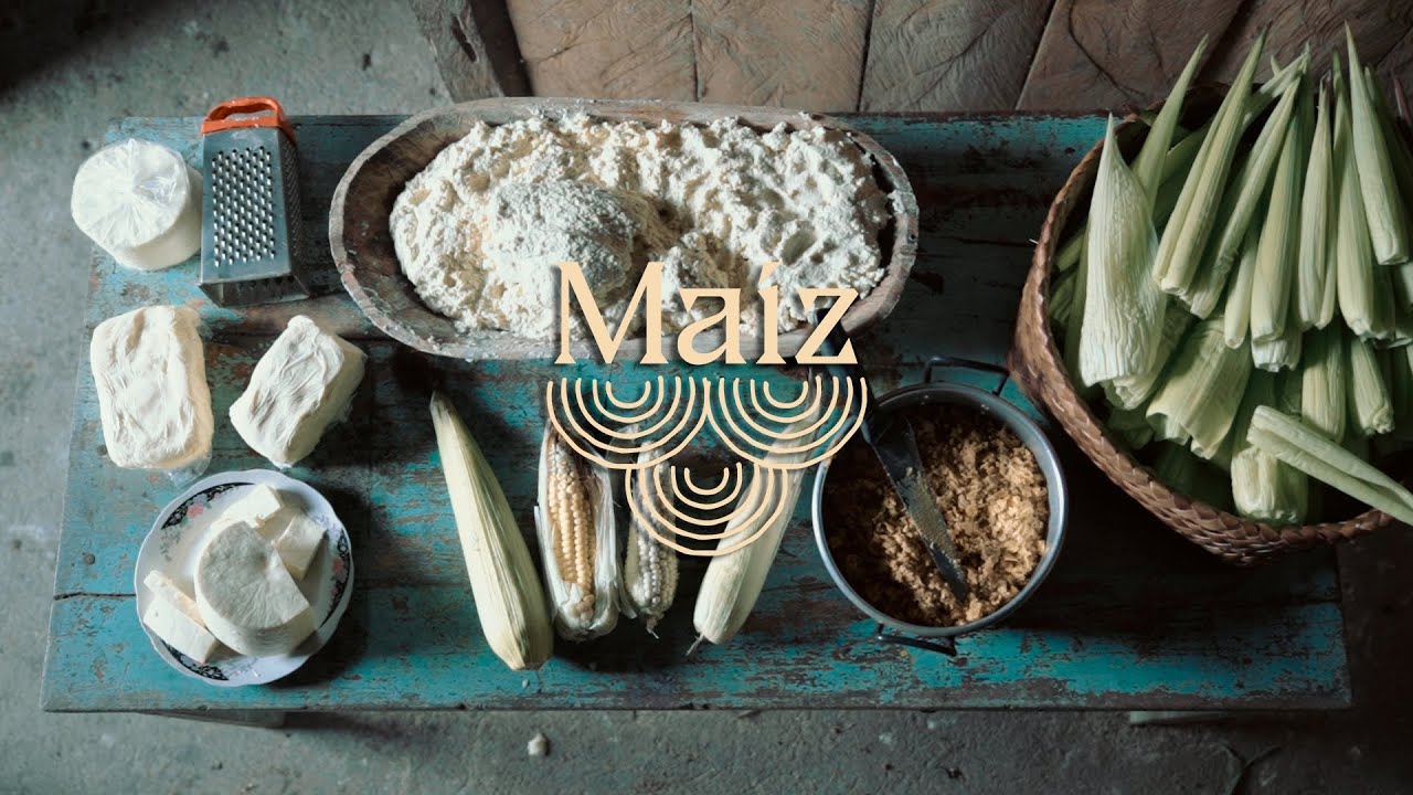 Plantas de poder | Maíz