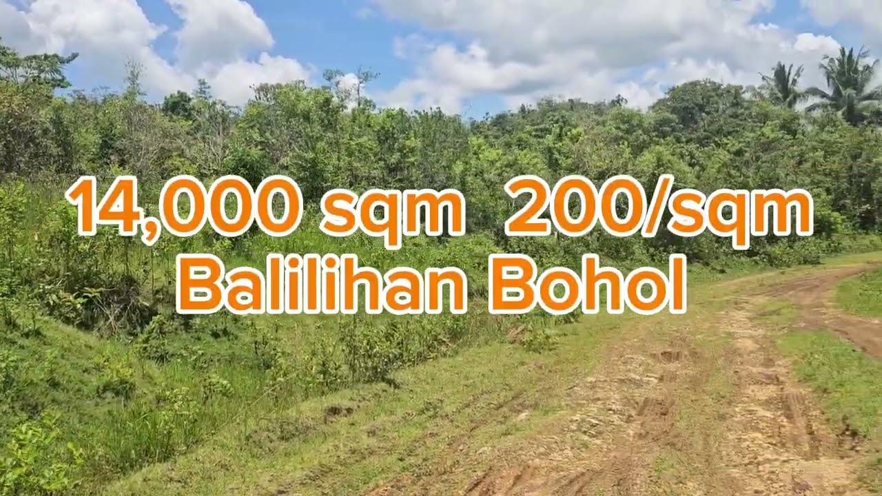 Bohol lot for sale 1.4 hectares & 4,601 sqm Balilihan and Corella Bohol Philippines
