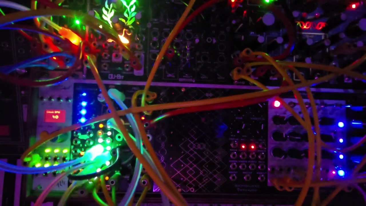 Bonsai for eurorack, Wind Carving Ice: February 15, 2026