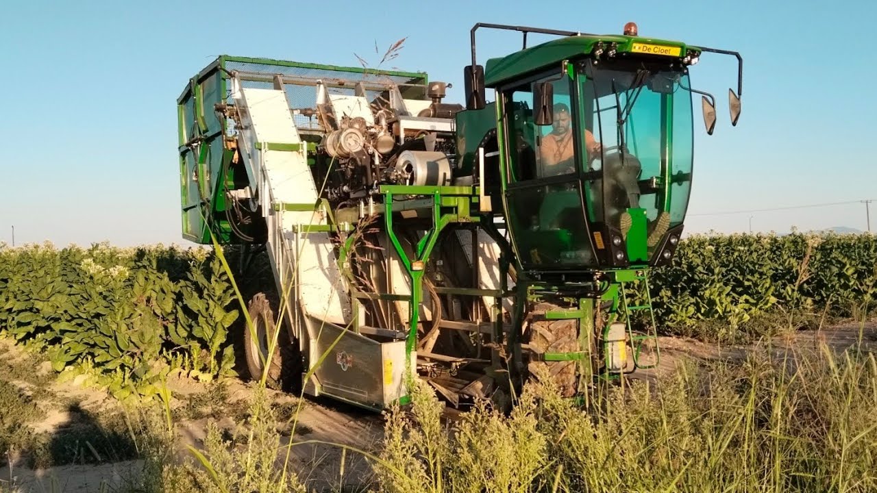 Συλλεκτική μηχανή για σπάσιμο καπνού-De Cloet-Harvester Tobacco