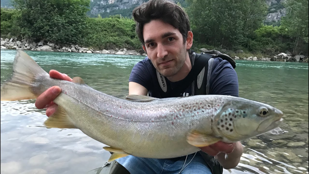 Pesca a spinning fiume adige